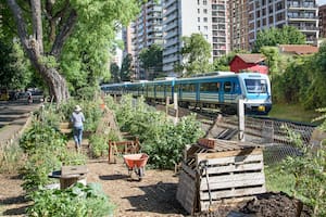 Huerta y compostera comunitarias a la vera del ferrocarril Mitre, a tres cuadras de la estación Martínez.