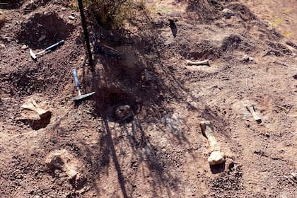Huesos de titanosaurios ya habían sido encontrados en la Argentina