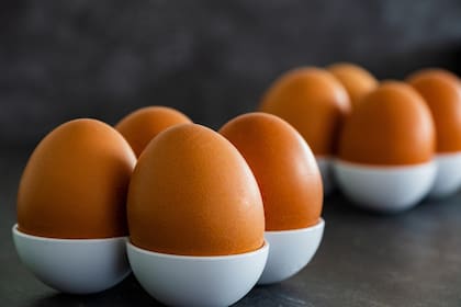 Huevos