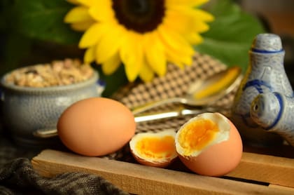 Huevos duros