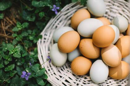 Los sitios de Pensilvania en los que repartirán huevos gratis