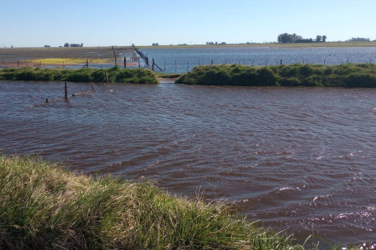 Hugo Enríquez advirtió: “Si la primavera viene complicada, esto va a tomar un color mucho más trágico”