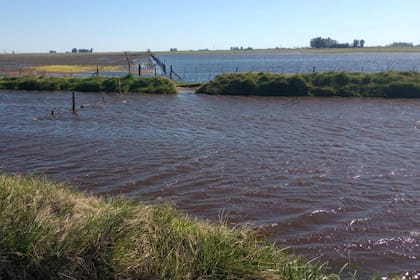 Hugo Enríquez advirtió: “Si la primavera viene complicada, esto va a tomar un color mucho más trágico”