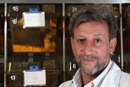Hugo Luján, director del Centro de Investigación y Desarrollo en Imunología y Enfermedades Infecciosas del Conicet