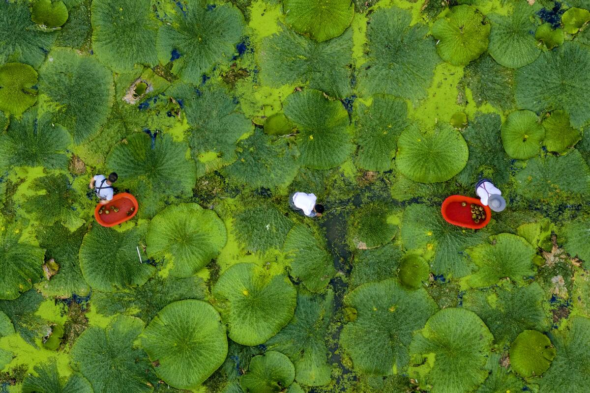 Huisheng, China. Edición fotográfica de Jesica Rizzo