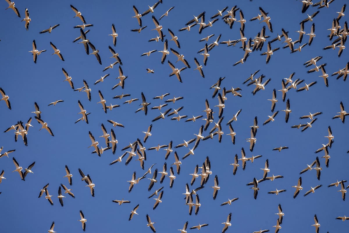 Hula, Israel. Edición fotográfica de Jesica Rizzo