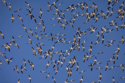 Hula, Israel. Edición fotográfica de Jesica Rizzo