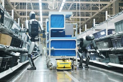 Humandroid está en diálogo con universidades para que formen a los profesionales que trabajarán con robots