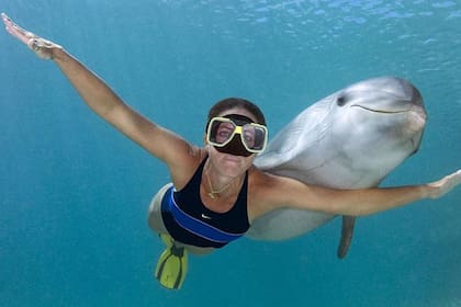 Los seres humanos y los mamíferos marinos como el delfín, compartimos el llamado "reflejo mamífero de inmersión".