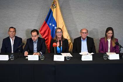 Humberto Villalobos, Pedro Urruchurtu, Magallí Meda, Omar González y Claudia Macero en una conferencia de prensa en Washington