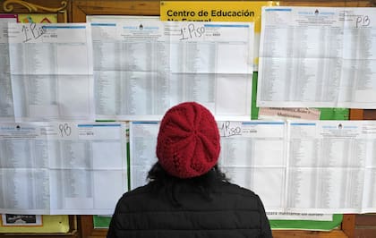 Se puede consultar el padrón electoral antes de ir a votar