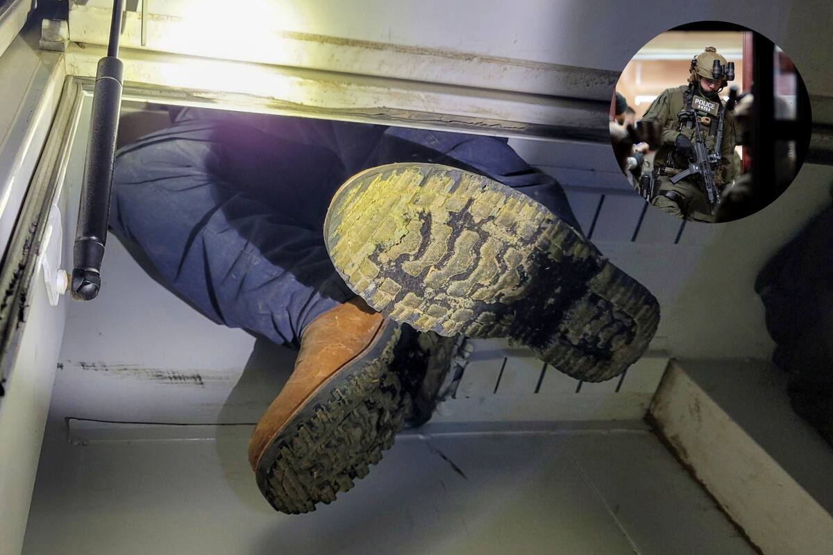 ICE y la Patrulla Fronteriza interceptaron un camión con ocho personas escondidas en Texas