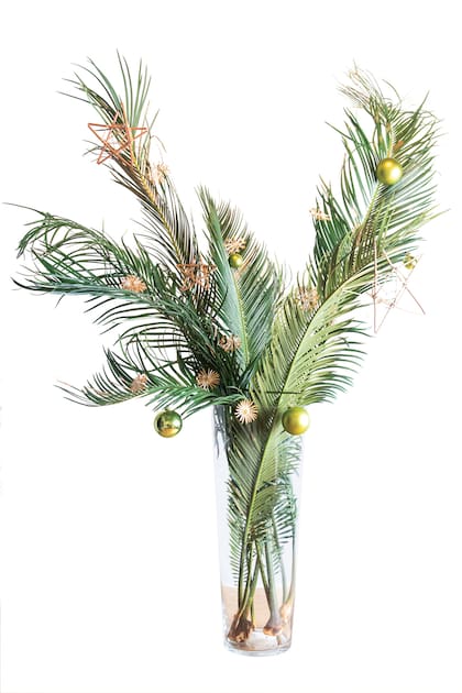 Idea fácil: árbol armado en florero alto con hojas de poda de Cycas revoluta y con detalles navideños. La longitud de sus ramas es ideal. De larga duración en el agua, estas ramas van de 80 cm a 1,30 m. Los detalles pueden ser estrellas de papel dorado, piñas, etc.