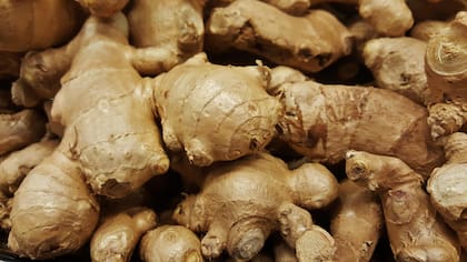 Ideal para tratar problemas respiratorios, el jengibre se puede cultivar en casa