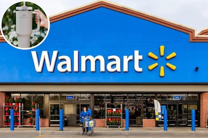 Ideales para hidratarse en cualquier temporada del año, la elección del vaso dependerá del presupuesto