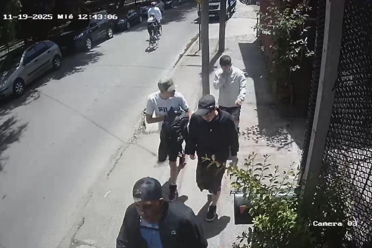 Identificaron a los ladrones que ingresaron en la casa de Valeria Mazza