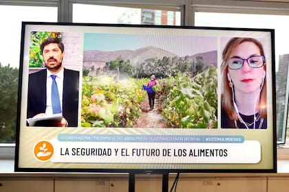 Ignacio Federico (LA NACION) y Elizabeth Kleiman (FAO Argentina)