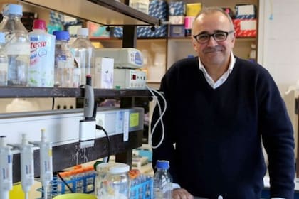 Ignacio López-Goñi es catedrático de Microbiología de la Universidad de Navarra, en España