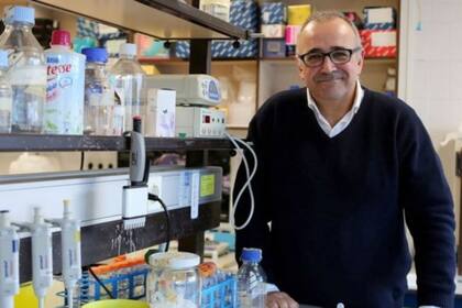 Ignacio López-Goñi es catedrático de Microbiología de la Universidad de Navarra, en España