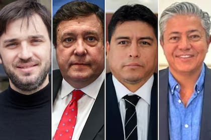 Ignacio Torres, Alberto Weretilneck, Claudio Vidal y Rolando Figueroa