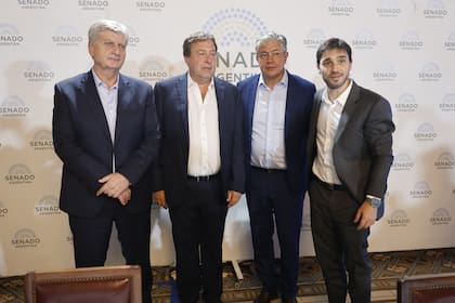 Los gobernadores Sergio Ziliotto (La Pampa), Alberto Weretilneck (Río Negro), Rolando Figueroa (Neuquén) e Ignacio Torres (Chubut)