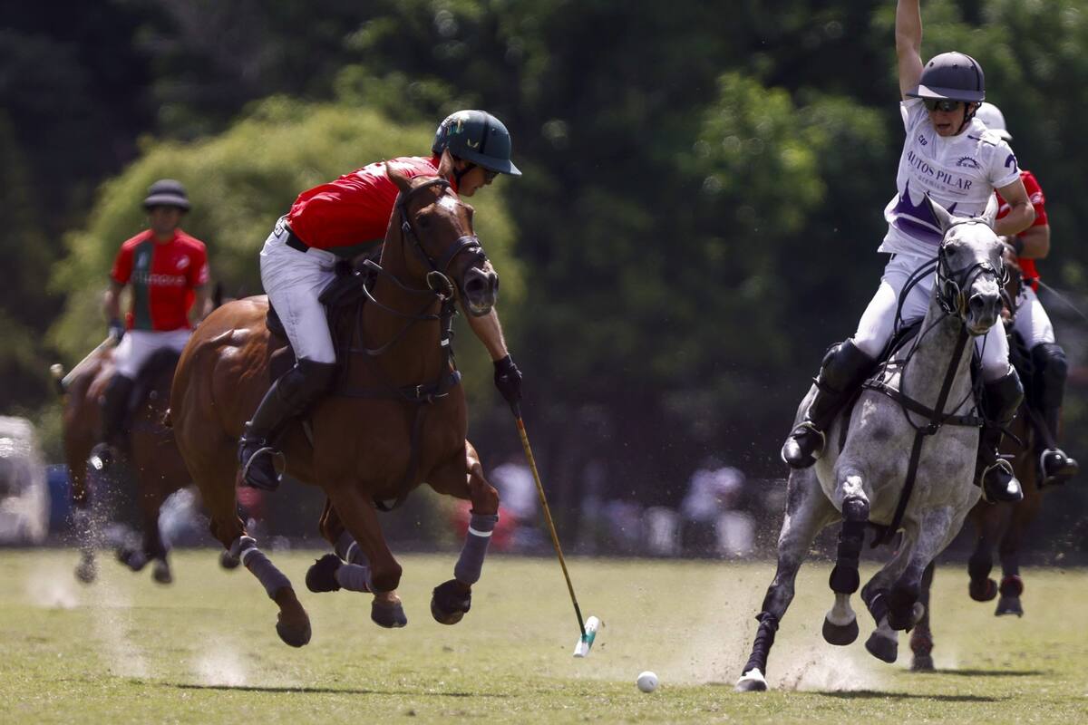 Ignatius Du Plessis va a pegar de revés y Paco de Narváez, que cumplió 18 años, reclama la línea; en el Abierto de Tortugtas, La Irenita-La Hache sufrió frente a Sol de Agosto su cuarta derrota en cinco actuaciones en la Triple Corona.