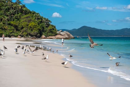 Ilha do Campeche. Guillermo Llamos