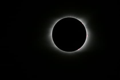 Illa afirma que el eclipse de sol será una "oportunidad" para reivindicar la ciencia en Catalunya