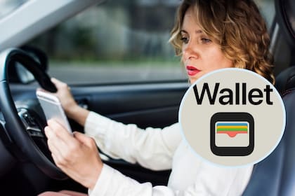 Illinois proyecta darle forma al programa a fin de año