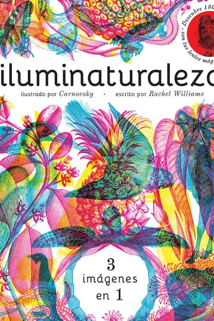 Iluminaturaleza, para descubrir animales escondidos