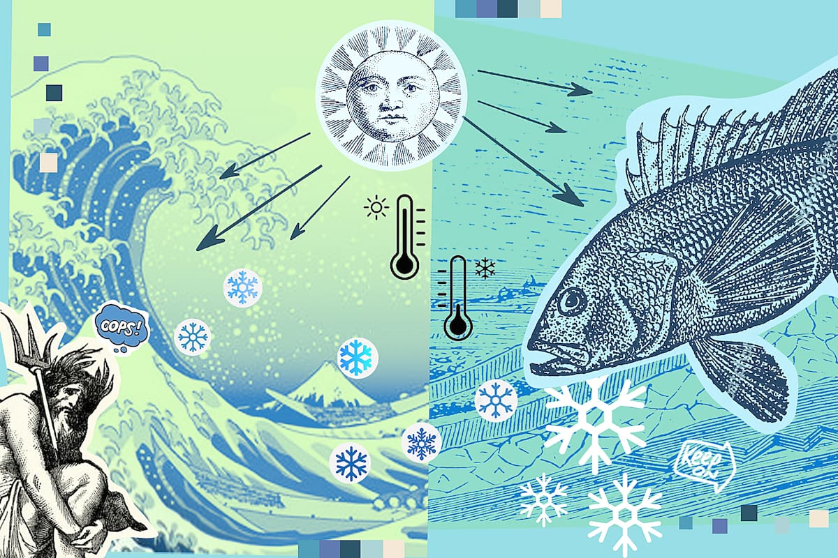 Ilustracion