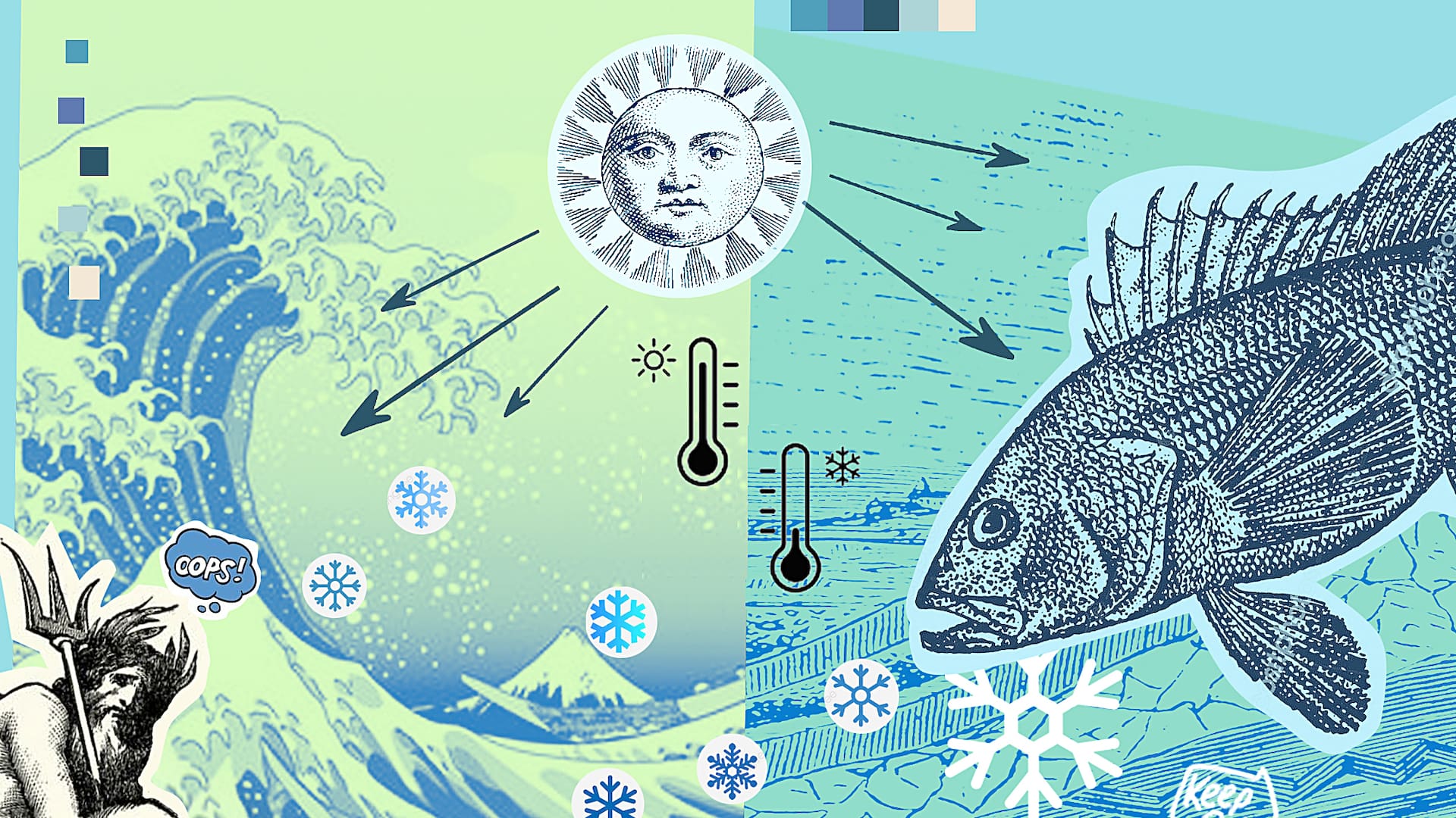 Ilustracion