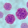 Un misterioso virus podría ayudar a predecir (y evitar) complicaciones en trasplantados renales
