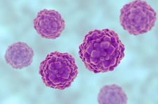 Un misterioso virus podría ayudar a predecir (y evitar) complicaciones en trasplantados renales