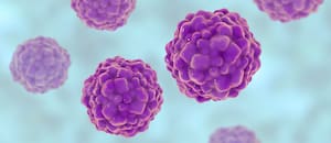 Un misterioso virus podría ayudar a predecir (y evitar) complicaciones en trasplantados renales