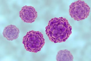 Un misterioso virus podría ayudar a predecir (y evitar) complicaciones en trasplantados renales