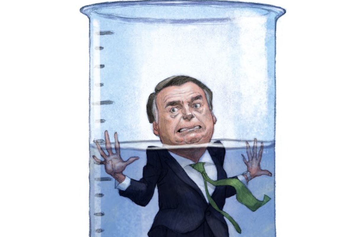 Ilustración Bolsonaro.