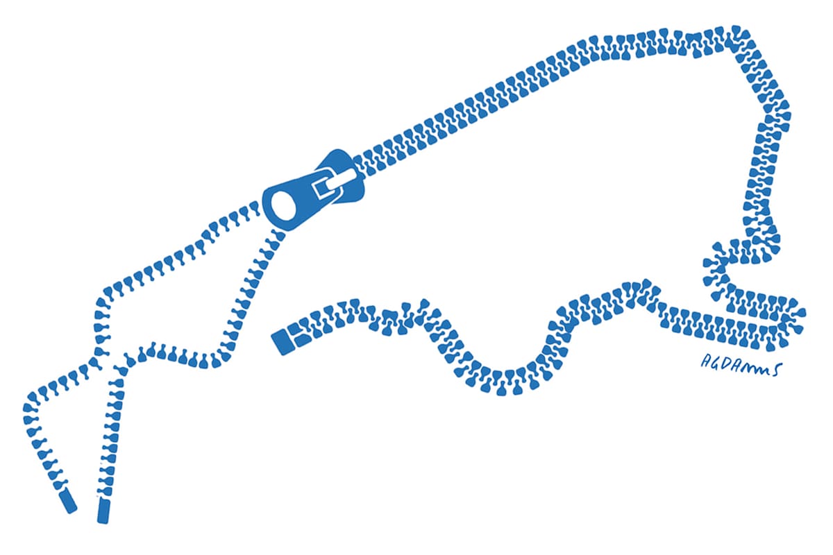 Ilustración Scibona