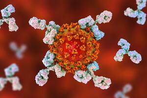 Ilustración conceptual de los anticuerpos que atacan el virus SARS-CoV-2