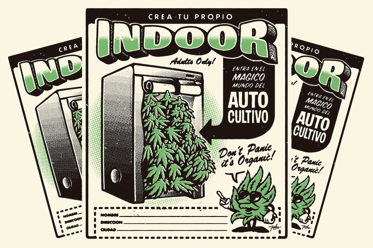 Ilustración de Falu Carolei