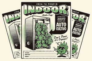 Ilustración de Falu Carolei