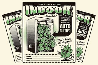 Autocultivo: cuánto falta para que sea legal plantar marihuana en tu casa