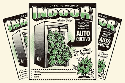 Ilustración de Falu Carolei