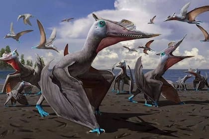 Ilustración de la nueva especie de pterosaurio descubierta en China