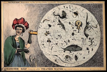 Ilustración de Thames Water (la compañía de agua londinense) también del siglo XIX y que ejemplifica la cantidad de enfermedades que pueden darse a través de la contaminación del agua como el propio cólera o la fiebre tifoidea