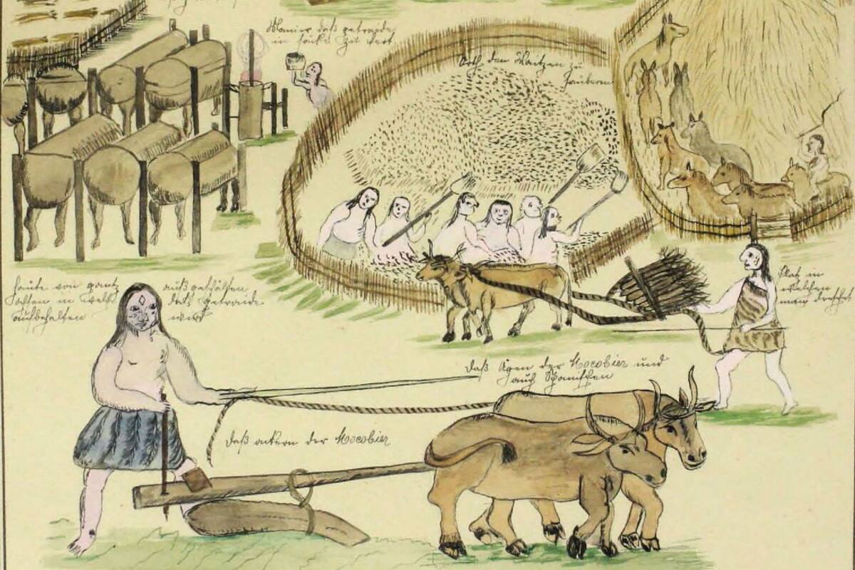 Ilustración del padre Paucke