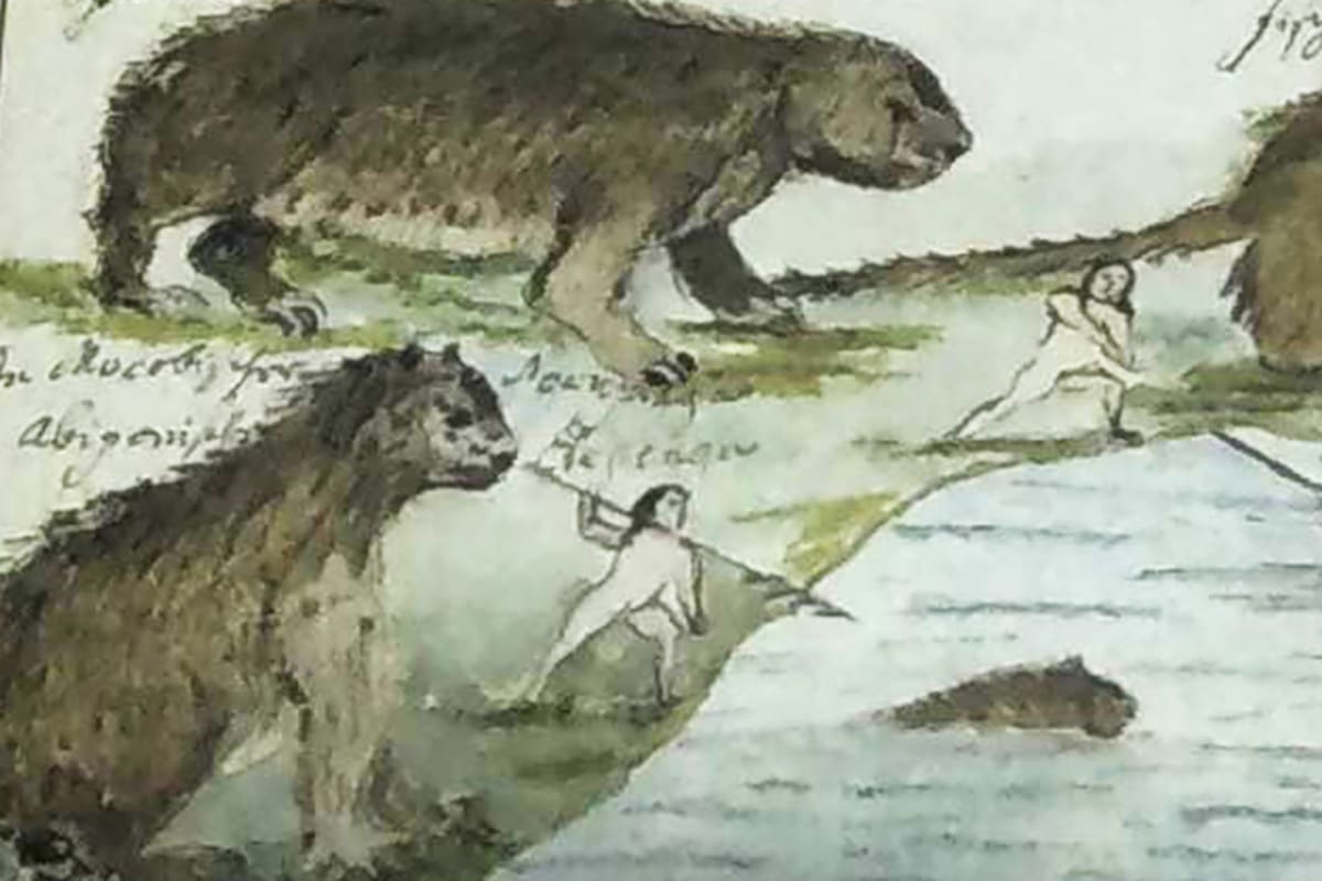 Ilustración del padre jesuita Florian Paucke