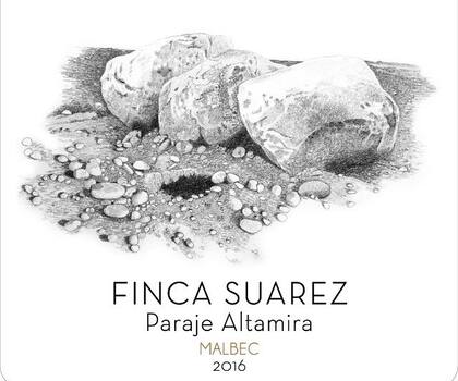 Ilustración en lápiz de Mariana Sissia para Finca Suárez