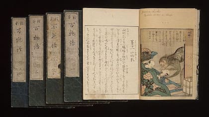 Ilustración en ukiyo-e que muestra una escena de un cuento tradicional japonés en la que Yama-chichi, una criatura parecida a un Yeti, inhala la fuerza vital de los viajeros dormidos (1841).