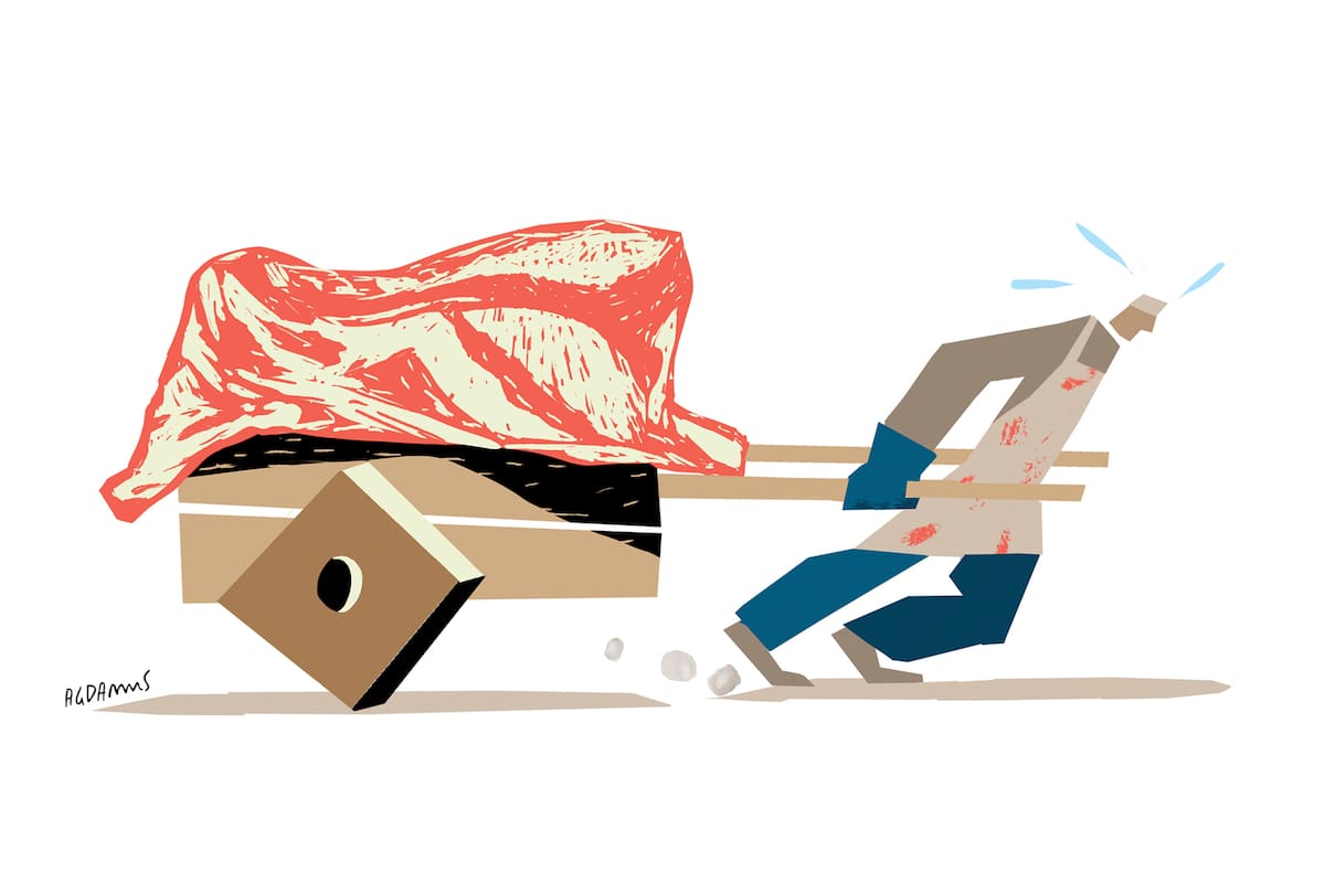 Ilustración media res